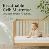 Breathable Crib Mattress