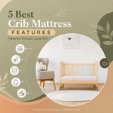 Best Crib Mattress