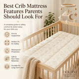 Best Crib Mattress